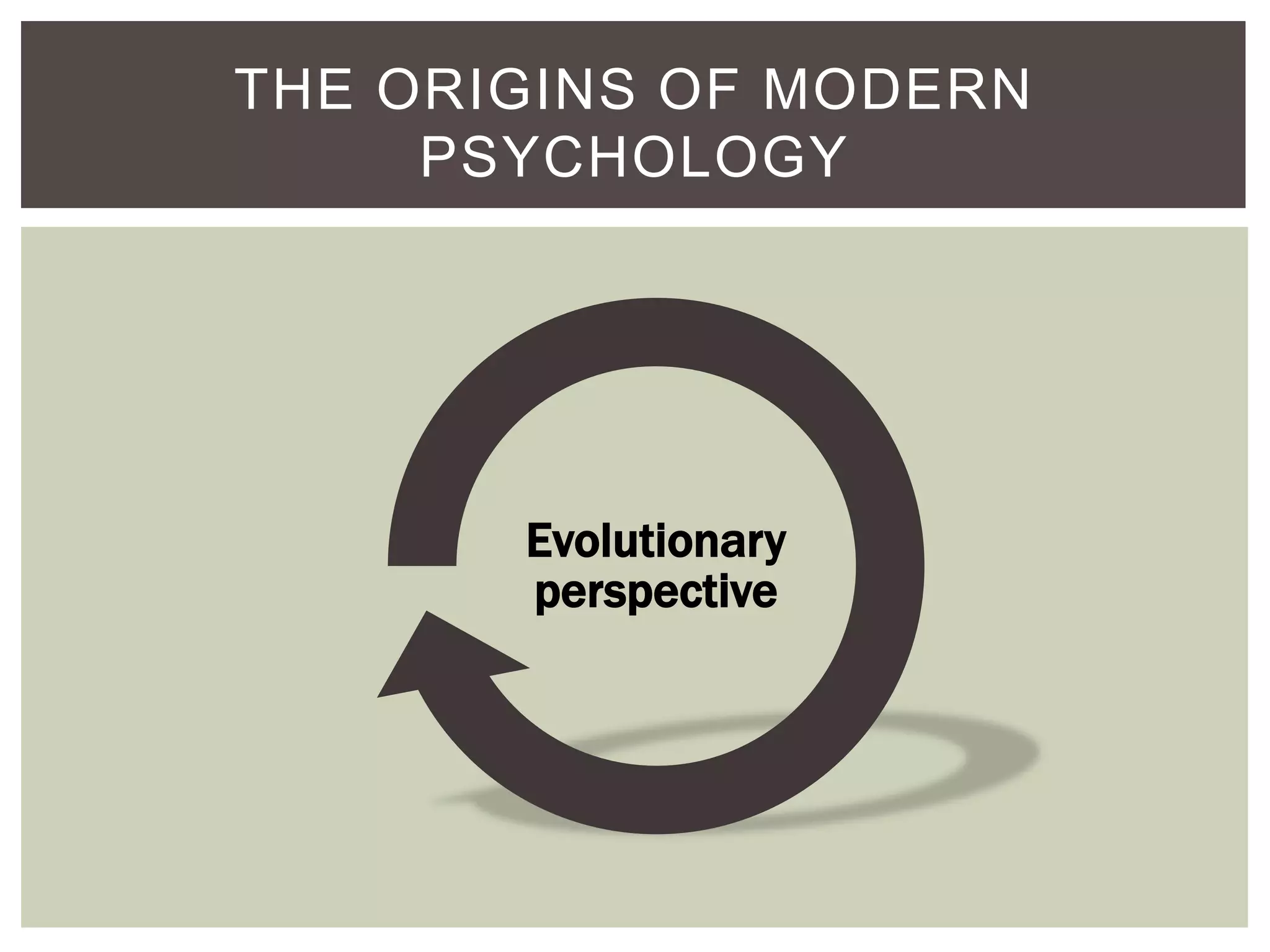 THE ORIGINS OF MODERN
PSYCHOLOGY

Evolutionary
perspective

 