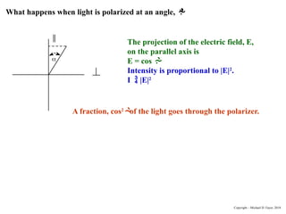 What happens when light is polarized at an angle, 
?

The projection of the electric field, E,
on the parallel axis is
E = cos 
.
Intensity is proportional to |E|2
.
I  |E|2
A fraction, cos2

of the light goes through the polarizer.
Copyright – Michael D. Fayer, 2018
 