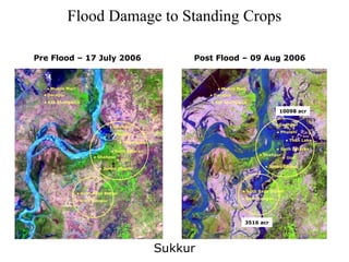 Pre Flood – 17 July 2006 Post Flood – 09 Aug 2006
10098 acr
3516 acr
● Phulani
● Goth Lataran
● Ural
● Junno Dhand
● Shahpur
● Godhpur
● Than Lake
● Goth Azizpur
● Goth Raza Mahar
● Phulani
● Goth Lataran
● Ural
● Junno Dhand
● Shahpur
● Godhpur
● Than Lake
● Goth Azizpur
● Goth Raza Mahar
● Muhro Mari
● Darapur
● Kot Shahgarch
● Muhro Mari
● Darapur
● Kot Shahgarch
Flood Damage to Standing Crops
Sukkur
 