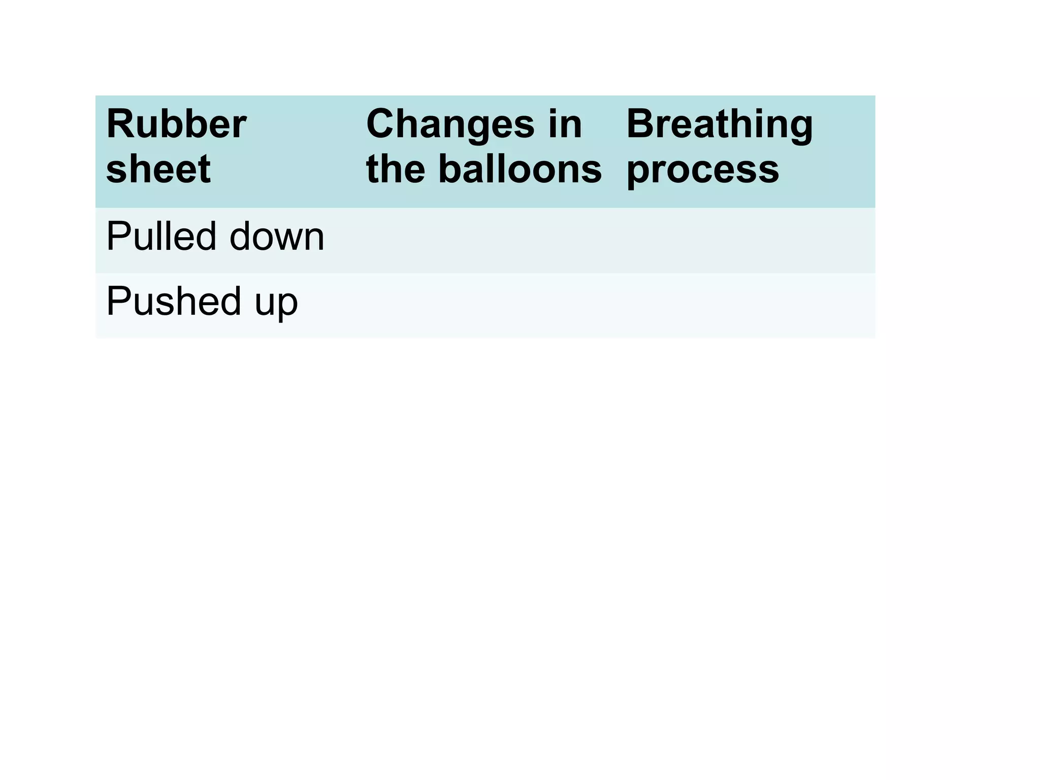 Rubber
sheet
Changes in
the balloons
Breathing
process
Pulled down
Pushed up
 