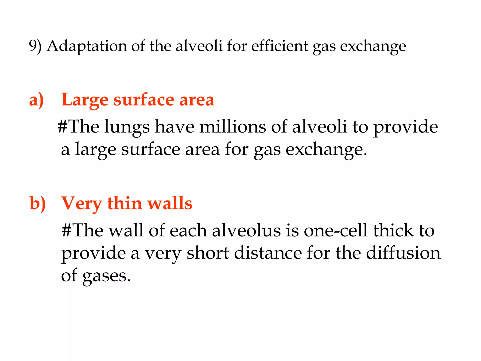 9) Adaptation of the alveoli for efficient gas exchange
a) Large surface area
#The lungs have millions of alveoli to provide
a large surface area for gas exchange.
b) Very thin walls
#The wall of each alveolus is one-cell thick to
provide a very short distance for the diffusion
of gases.
 