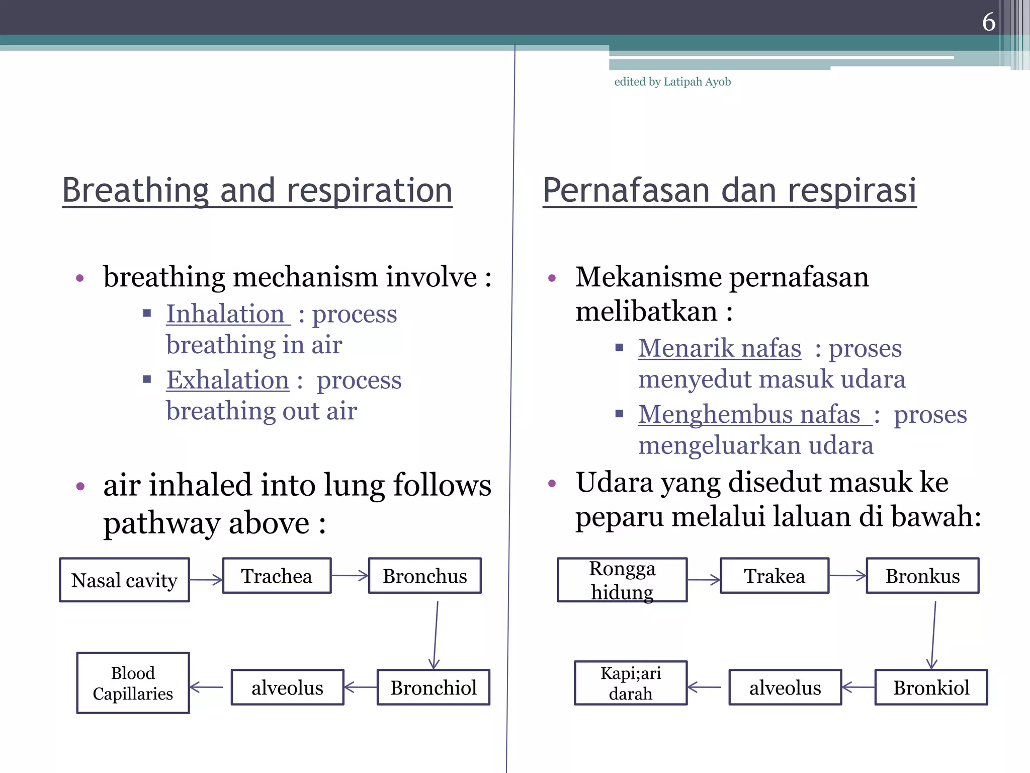 Chapter 1 respiration | PPTX