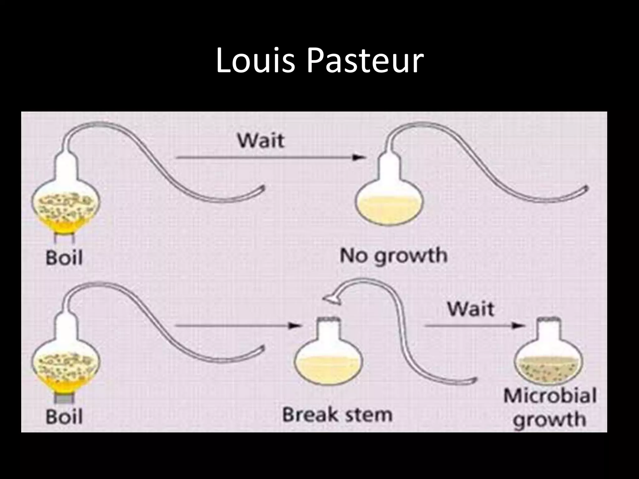 Louis Pasteur