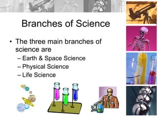 Branches of Science The three main branches of science are Earth & Space Science Physical Science Life Science