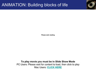 ANIMATION: Building blocks of life To play movie you must be in Slide Show Mode PC Users: Please wait for content to load, then click to play Mac Users:  CLICK HERE 