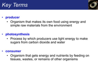 Key Terms producer  Organism that makes its own food using energy and simple raw materials from the environment photosynthesis   Process by which producers use light energy to make sugars from carbon dioxide and water consumer  Organism that gets energy and nutrients by feeding on tissues, wastes, or remains of other organisms 
