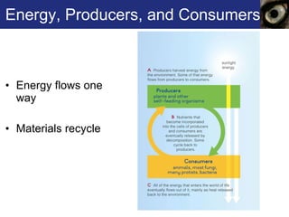 Energy, Producers, and Consumers Energy flows one way Materials recycle 