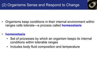 (2) Organisms Sense and Respond to Change Organisms keep conditions in their internal environment within ranges cells tolerate—a process called  homeostasis homeostasis   Set of processes by which an organism keeps its internal conditions within tolerable ranges Includes body fluid composition and temperature 