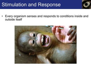 Stimulation and Response Every organism senses and responds to conditions inside and outside itself 