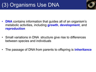 (3) Organisms Use DNA DNA  contains information that guides all of an organism’s metabolic activities, including  growth ,  development , and  reproduction Small variations in DNA  structure give rise to differences between species and individuals The passage of DNA from parents to offspring is  inheritance 