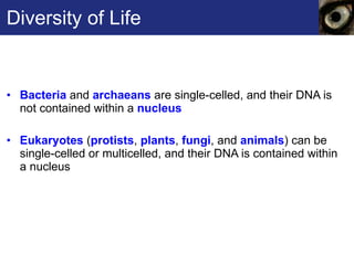Diversity of Life Bacteria  and  archaeans  are single-celled, and their DNA is not contained within a  nucleus   Eukaryotes   ( protists ,  plants ,  fungi , and  animals ) can be single-celled or multicelled, and their DNA is contained within a nucleus 