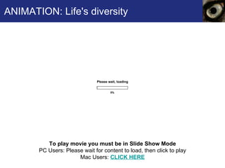 ANIMATION: Life's diversity To play movie you must be in Slide Show Mode PC Users: Please wait for content to load, then click to play Mac Users:  CLICK HERE 