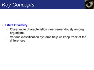 Key Concepts Life’s Diversity  Observable characteristics vary tremendously among organisms  Various classification systems help us keep track of the differences 