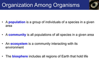 Organization Among Organisms A  population  is a group of individuals of a species in a given area A  community  is all populations of all species in a given area  An  ecosystem  is a community interacting with its environment The  biosphere  includes all regions of Earth that hold life 