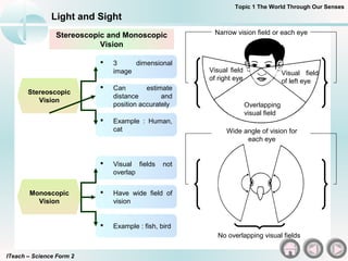 Monoscopic Display Example Chapter 1 Dunia Melalui Deria Kita | PPT