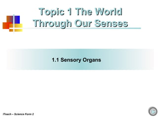 1.1 Sensory Organs
Topic 1 The WorldTopic 1 The World
Through Our SensesThrough Our Senses
ITeach – Science Form 2
 