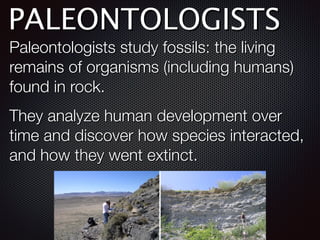 PALEONTOLOGISTS
Paleontologists study fossils: the living
remains of organisms (including humans)
found in rock.
They analyze human development over
time and discover how species interacted,
and how they went extinct.
 