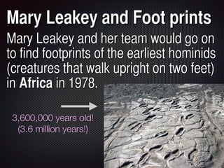 Mary Leakey and Foot prints
Mary Leakey and her team would go on
to find footprints of the earliest hominids
(creatures that walk upright on two feet)
in Africa in 1978.
3,600,000 years old!
(3.6 million years!)
 
