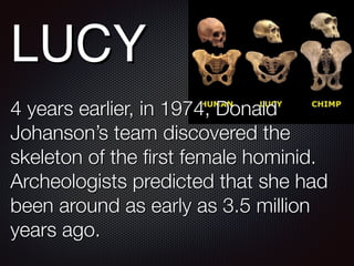 LUCY
4 years earlier, in 1974, Donald
Johanson’s team discovered the
skeleton of the first female hominid.
Archeologists predicted that she had
been around as early as 3.5 million
years ago.
 
