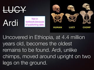 LUCY
Ardi
Uncovered in Ethiopia, at 4.4 million
years old, becomes the oldest
remains to be found. Ardi, unlike
chimps, moved around upright on two
legs on the ground.
Not in
textbook,because
of publishing date.
 