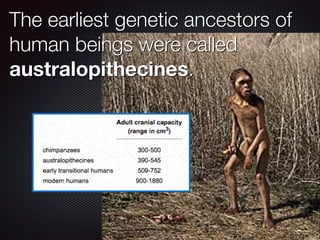 The earliest genetic ancestors of
human beings were called
australopithecines.
 