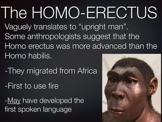 The HOMO-ERECTUS
Vaguely translates to “upright man”.  
Some anthropologists suggest that the
Homo erectus was more advanced than the
Homo habilis.
-They migrated from Africa
-First to use fire
-May have developed the
first spoken language
 