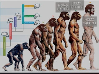 HOMO
ERECTUS
HOMO
SAPIENS
HOMO
HABILIS
 