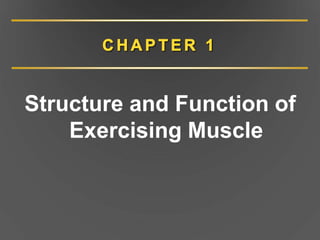 Structure and Function of
Exercising Muscle
 
