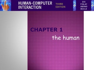 the human
 