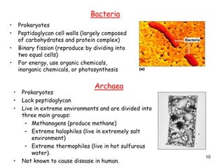 10
• Prokaryotes
• Peptidoglycan cell walls (largely composed
of carbohydrates and protein complex)
• Binary fission (reproduce by dividing into
two equal cells)
• For energy, use organic chemicals,
inorganic chemicals, or photosynthesis
Bacteria
• Prokaryotes
• Lack peptidoglycan
• Live in extreme environments and are divided into
three main groups:
– Methanogens (produce methane)
– Extreme halophiles (live in extremely salt
environment)
– Extreme thermophiles (live in hot sulfurous
water).
• Not known to cause disease in human.
Archaea
 