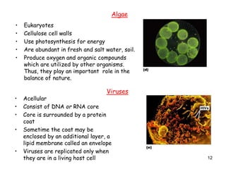 12
• Eukaryotes
• Cellulose cell walls
• Use photosynthesis for energy
• Are abundant in fresh and salt water, soil.
• Produce oxygen and organic compounds
which are utilized by other organisms.
Thus, they play an important role in the
balance of nature.
Algae
• Acellular
• Consist of DNA or RNA core
• Core is surrounded by a protein
coat
• Sometime the coat may be
enclosed by an additional layer, a
lipid membrane called an envelope
• Viruses are replicated only when
they are in a living host cell
Viruses
 