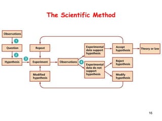 16
The Scientific Method
 