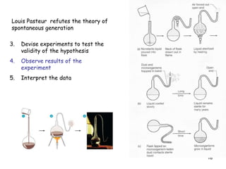 18
Louis Pasteur refutes the theory of
spontaneous generation
3. Devise experiments to test the
validity of the hypothesis
4. Observe results of the
experiment
5. Interpret the data
 