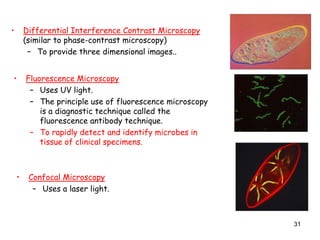31
• Differential Interference Contrast Microscopy
(similar to phase-contrast microscopy)
– To provide three dimensional images..
• Fluorescence Microscopy
– Uses UV light.
– The principle use of fluorescence microscopy
is a diagnostic technique called the
fluorescence antibody technique.
– To rapidly detect and identify microbes in
tissue of clinical specimens.
• Confocal Microscopy
– Uses a laser light.
 