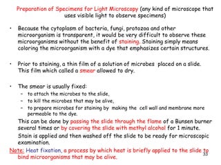 33
Preparation of Specimens for Light Microscopy (any kind of microscope that
uses visible light to observe specimens)
• Because the cytoplasm of bacteria, fungi, protozoa and other
microorganism is transparent, it would be very difficult to observe these
microorganisms without the benefit of staining. Staining simply means
coloring the microorganism with a dye that emphasizes certain structures.
• Prior to staining, a thin film of a solution of microbes placed on a slide.
This film which called a smear allowed to dry.
• The smear is usually fixed:
– to attach the microbes to the slide,
– to kill the microbes that may be alive,
– to prepare microbes for staining by making the cell wall and membrane more
permeable to the dye.
This can be done by passing the slide through the flame of a Bunsen burner
several times or by covering the slide with methyl alcohol for 1 minute.
Stain is applied and then washed off the slide to be ready for microscopic
examination.
Note: Heat fixation, a process by which heat is briefly applied to the slide to
bind microorganisms that may be alive.
 