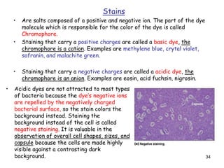 34
Stains
• Are salts composed of a positive and negative ion. The part of the dye
molecule which is responsible for the color of the dye is called
Chromophore.
• Staining that carry a positive charges are called a basic dye, the
chromophore is a cation. Examples are methylene blue, crytal violet,
safranin, and malachite green.
• Staining that carry a negative charges are called a acidic dye, the
chromophore is an anion. Examples are eosin, acid fuchsin, nigrosin.
• Acidic dyes are not attracted to most types
of bacteria because the dye’s negative ions
are repelled by the negatively charged
bacterial surface, so the stain colors the
background instead. Staining the
background instead of the cell is called
negative staining. It is valuable in the
observation of overall cell shapes, sizes, and
capsule because the cells are made highly
visible against a contrasting dark
background.
 