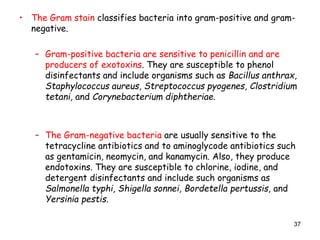 37
• The Gram stain classifies bacteria into gram-positive and gram-
negative.
– Gram-positive bacteria are sensitive to penicillin and are
producers of exotoxins. They are susceptible to phenol
disinfectants and include organisms such as Bacillus anthrax,
Staphylococcus aureus, Streptococcus pyogenes, Clostridium
tetani, and Corynebacterium diphtheriae.
– The Gram-negative bacteria are usually sensitive to the
tetracycline antibiotics and to aminoglycode antibiotics such
as gentamicin, neomycin, and kanamycin. Also, they produce
endotoxins. They are susceptible to chlorine, iodine, and
detergent disinfectants and include such organisms as
Salmonella typhi, Shigella sonnei, Bordetella pertussis, and
Yersinia pestis.
 