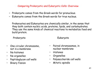 41
Comparing Prokaryotic and Eukaryotic Cells: Overview
– Prokaryote comes from the Greek words for prenucleus.
– Eukaryote comes from the Greek words for true nucleus.
Prokaryotes and Eukaryotes are chemically similar, in the sense that
they both contain nucleic acids, proteins, lipids, and carbohydrates.
They use the same kinds of chemical reactions to metabolize food and
build protein.
• One circular chromosome,
not in a membrane
• No histones
• No organelles
• Peptidoglycan cell walls
• Binary fission
Prokaryote Eukaryote
• Paired chromosomes, in
nuclear membrane
• Histones
• Organelles
• Polysaccharide cell walls
• Mitotic spindle
 