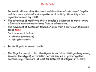 49
Bacterial cells can alter the speed and directions of rotation of flagella
and thus are capable of various patterns of motility, the ability of an
organism to move by itself.
• The advantage of motility is that it enables a bacterium to move toward
a favorable environment or away from an adverse one.
• The movement of bacterium toward or away from a particular stimulus is
called taxis.
Such movement include:
– chemical (chemotaxis)
– light (photoctaxis).
• Rotate flagella to run or tumble
• The flagellar protein called H antigens is useful for distinguishing among
serovars (serotypes), or variations within species, of gram-negative
bacteria. (e.g., there are at least 50 different H antigen for E. coli ).
Motile Cells
 