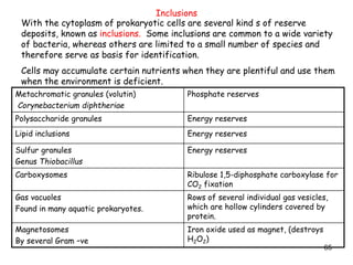 65
Inclusions
With the cytoplasm of prokaryotic cells are several kind s of reserve
deposits, known as inclusions. Some inclusions are common to a wide variety
of bacteria, whereas others are limited to a small number of species and
therefore serve as basis for identification.
Cells may accumulate certain nutrients when they are plentiful and use them
when the environment is deficient.
Metachromatic granules (volutin)
Corynebacterium diphtheriae
Phosphate reserves
Polysaccharide granules Energy reserves
Lipid inclusions Energy reserves
Sulfur granules
Genus Thiobacillus
Energy reserves
Carboxysomes Ribulose 1,5-diphosphate carboxylase for
CO2 fixation
Gas vacuoles
Found in many aquatic prokaryotes.
Rows of several individual gas vesicles,
which are hollow cylinders covered by
protein.
Magnetosomes
By several Gram –ve
Iron oxide used as magnet, (destroys
H2O2)
 