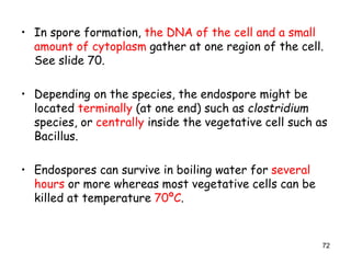 72
• In spore formation, the DNA of the cell and a small
amount of cytoplasm gather at one region of the cell.
See slide 70.
• Depending on the species, the endospore might be
located terminally (at one end) such as clostridium
species, or centrally inside the vegetative cell such as
Bacillus.
• Endospores can survive in boiling water for several
hours or more whereas most vegetative cells can be
killed at temperature 70ºC.
 