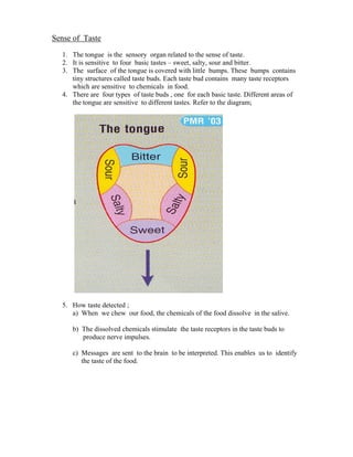 Chapter 1 the world through our senses | PDF