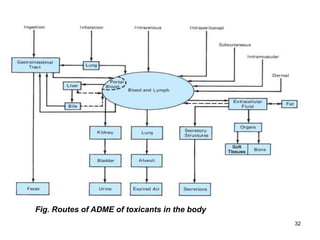32
Fig. Routes of ADME of toxicants in the body
 