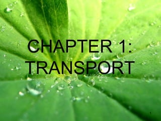 CHAPTER 1:
TRANSPORT
1
 