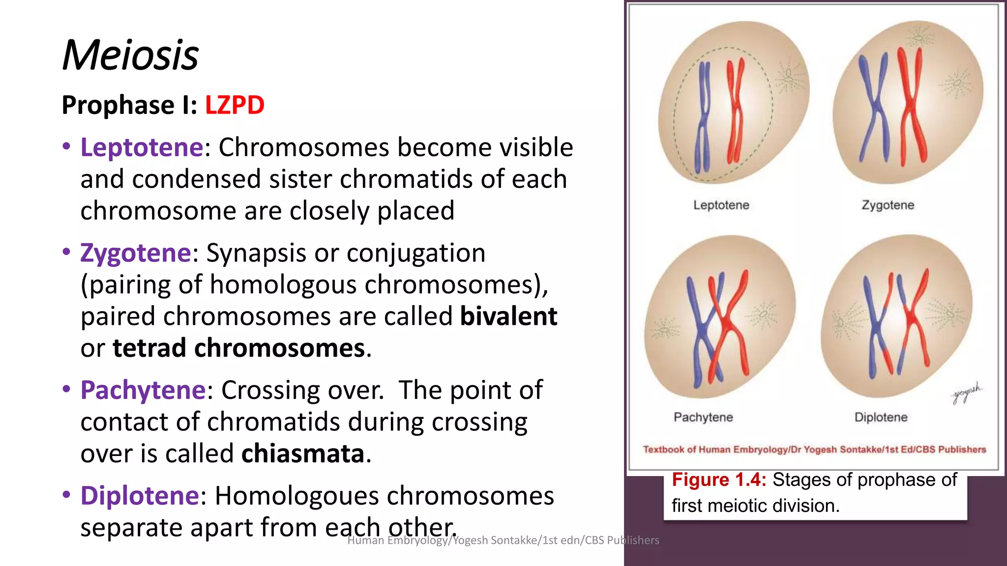 Chapter 1 TSLR.pptx | Infertility | Reproductive Health