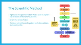 The Scientific Method
• A process of experimentation that is used to explore
observations and answer questions.
• Given in a series of steps
• A means scientists use to gather and interpret data
(measurements).
 