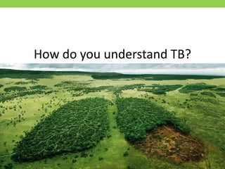 How do you understand TB? 