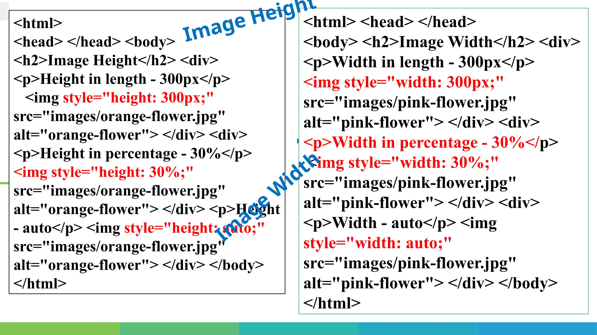.
<html>
<head> </head> <body>
<h2>Image Height</h2> <div>
<p>Height in length - 300px</p>
<img style="height: 300px;"
src="images/orange-flower.jpg"
alt="orange-flower"> </div> <div>
<p>Height in percentage - 30%</p>
<img style="height: 30%;"
src="images/orange-flower.jpg"
alt="orange-flower"> </div> <p>Height
- auto</p> <img style="height: auto;"
src="images/orange-flower.jpg"
alt="orange-flower"> </div> </body>
</html>
<html> <head> </head>
<body> <h2>Image Width</h2> <div>
<p>Width in length - 300px</p>
<img style="width: 300px;"
src="images/pink-flower.jpg"
alt="pink-flower"> </div> <div>
<p>Width in percentage - 30%</p>
<img style="width: 30%;"
src="images/pink-flower.jpg"
alt="pink-flower"> </div> <div>
<p>Width - auto</p> <img
style="width: auto;"
src="images/pink-flower.jpg"
alt="pink-flower"> </div> </body>
</html>
Image Height
Im
age
W
idth
 
