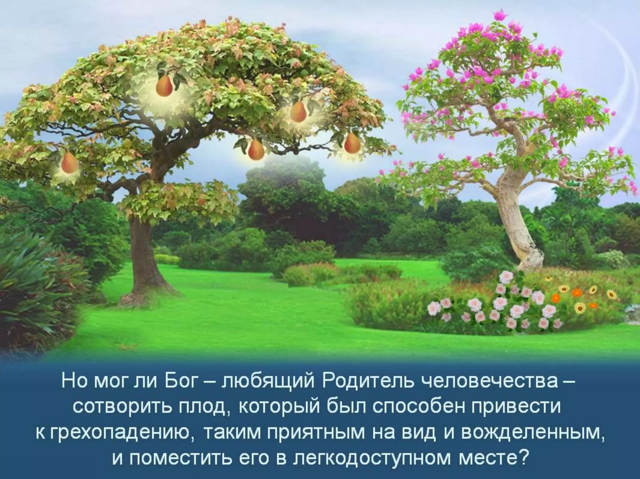 Раздел 1. Корень греха