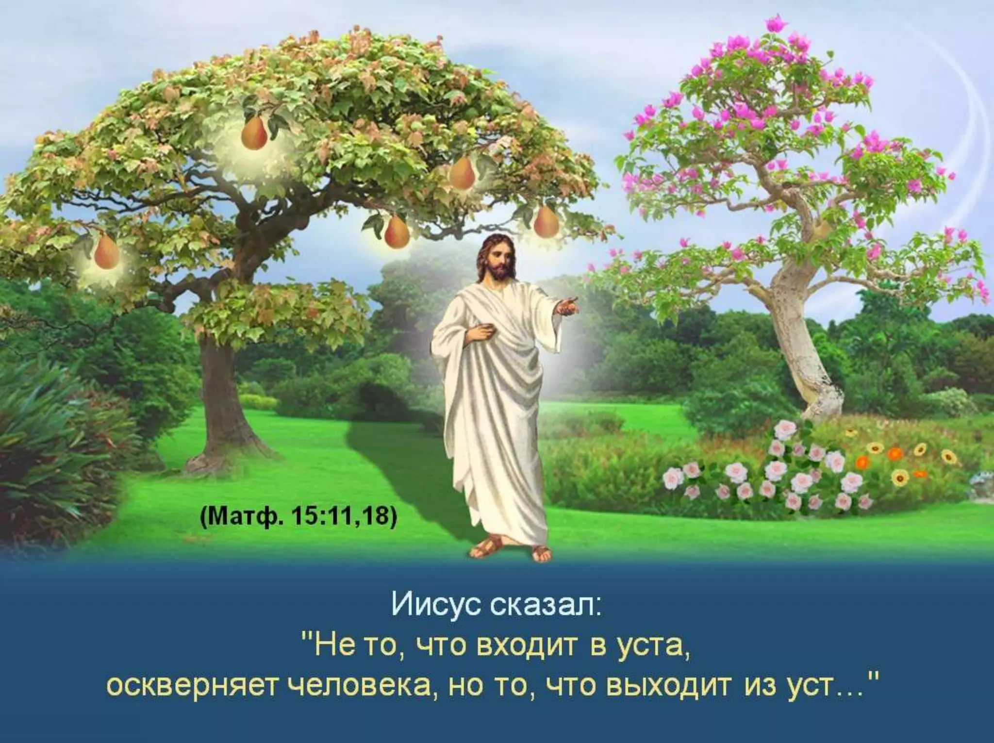 Раздел 1. Корень греха